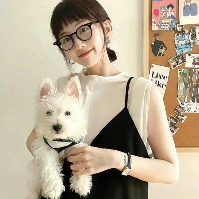 追影行动