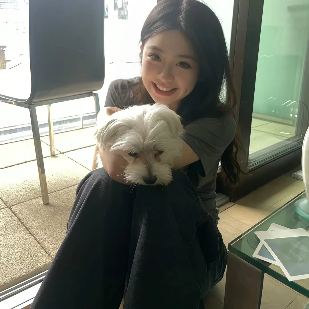 汪汪忠臣藏